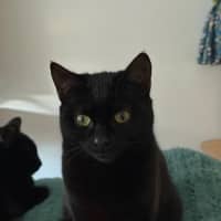 Photo of Asher