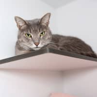 Photo of Chuck