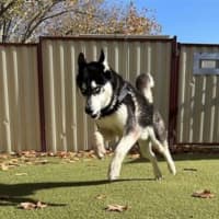 Photo of Axel