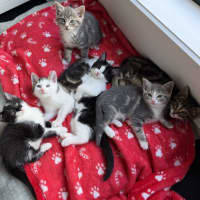 Photo of Tekapo 💙