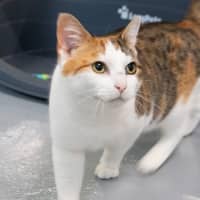 Photo of Hazel Moriarty