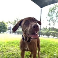 Photo of Donnie