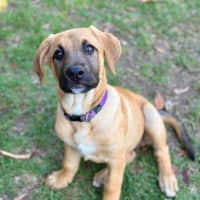 Photo of Elphie