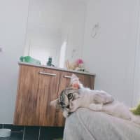 Photo of Judy Garland