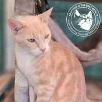 Photo of Eagless And Weston