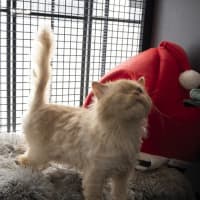 Photo of Sammy