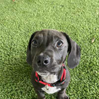 Photo of Murphy