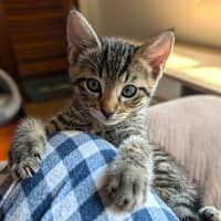 Photo of Clyde