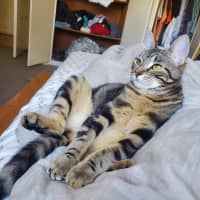 Photo of Miffy   Located In Coburg