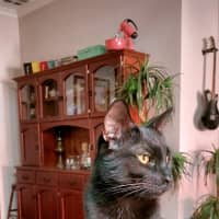 Photo of Salem