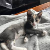 Photo of Vera & Violet