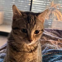 Photo of Velly