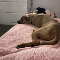 Photo of Zeus