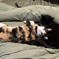 Photo of Maya & Morgan🌻🌼