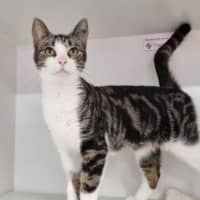 Photo of Delilah