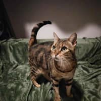 Photo of Sarah
