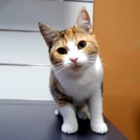 Photo of Tilly Stk014573