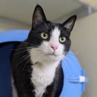 Photo of 🍫 Tim Tam 5572 🍫