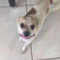 Photo of Opal And Smudge