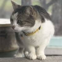 Photo of Cindy