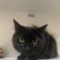 Photo of Turbo