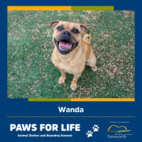 Photo of Wanda