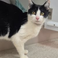 Photo of Gadget (0196)