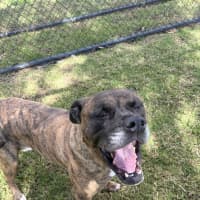 Photo of Cash