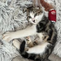 Photo of Jassy