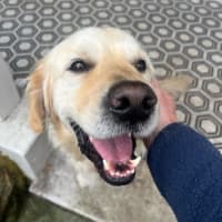 Photo of Digger