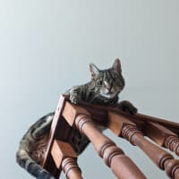 Photo of Dee