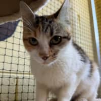 Photo of Tullulah