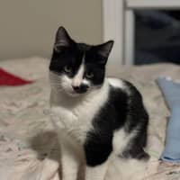 Photo of Hank & Halle