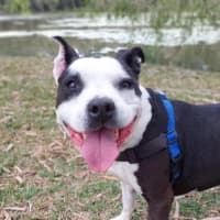 Photo of Roxy