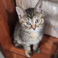 Photo of Kiara