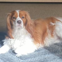 Photo of Ruby Uffelman