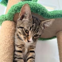 Photo of Gary & Harriet 