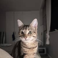 Photo of Winnie