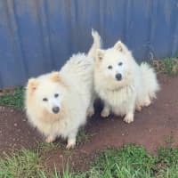 Photo of Bliss & Crystal