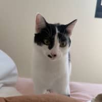 Photo of Rocket Scott