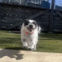 Photo of Roxie