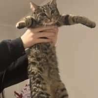 Photo of Grug