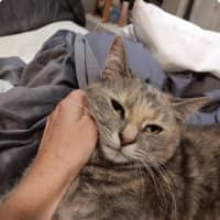 Photo of Molly