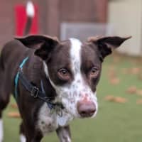 Photo of Bella 