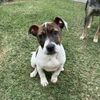 Photo of Delilah 
