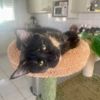 Photo of Caramella