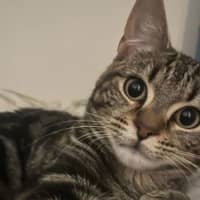 Photo of Mimi
