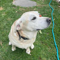 Photo of Sally