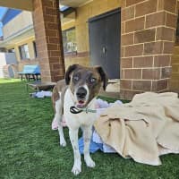 Photo of Atlas