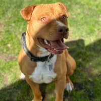Photo of Duke
